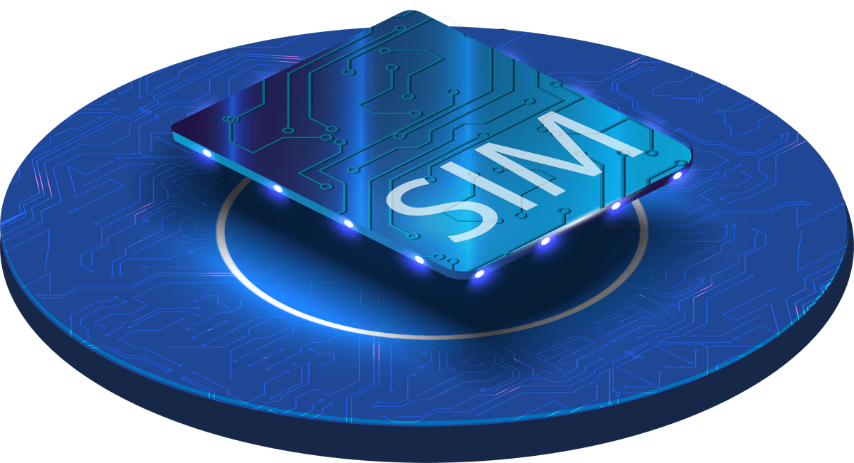 Birdy Wireless travel eSIM card illustration