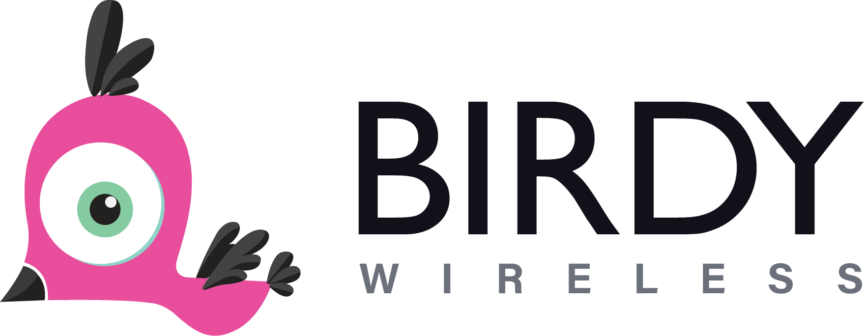 Birdy Wireless Logo